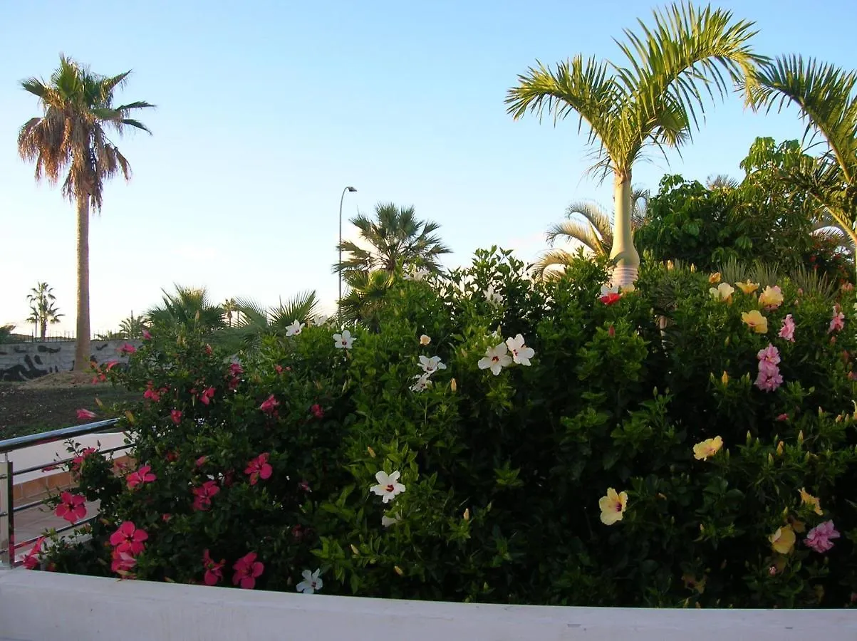 Appartamento Parque don José 341 Arona  0*, Arona (Tenerife) Spagna
